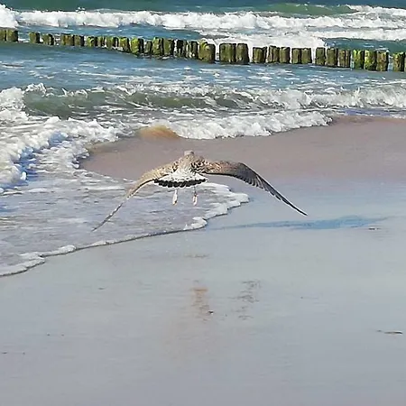 Sloneczny Apartamento Kołobrzeg