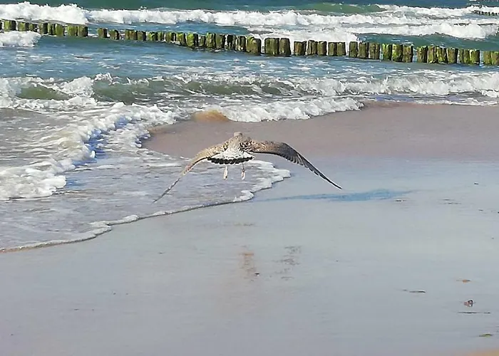 Sloneczny Appartement Kołobrzeg